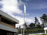 DÃ­a de la bandera 2016